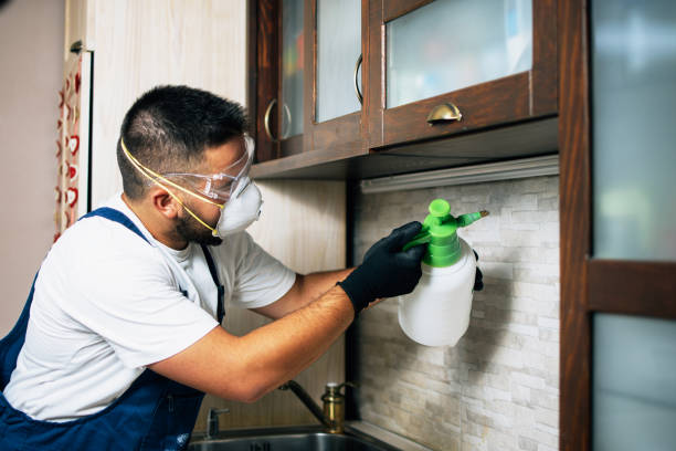 Best Affordable Pest Control Services  in Fort Lee, NJ