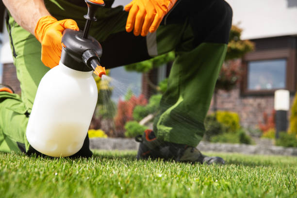 Best Best Pest Control Companies  in Fort Lee, NJ
