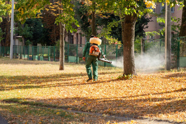 Wildlife Control Services in Fort Lee, NJ