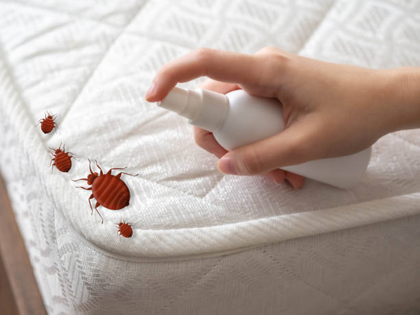 Best Termite Control Services  in Fort Lee, NJ